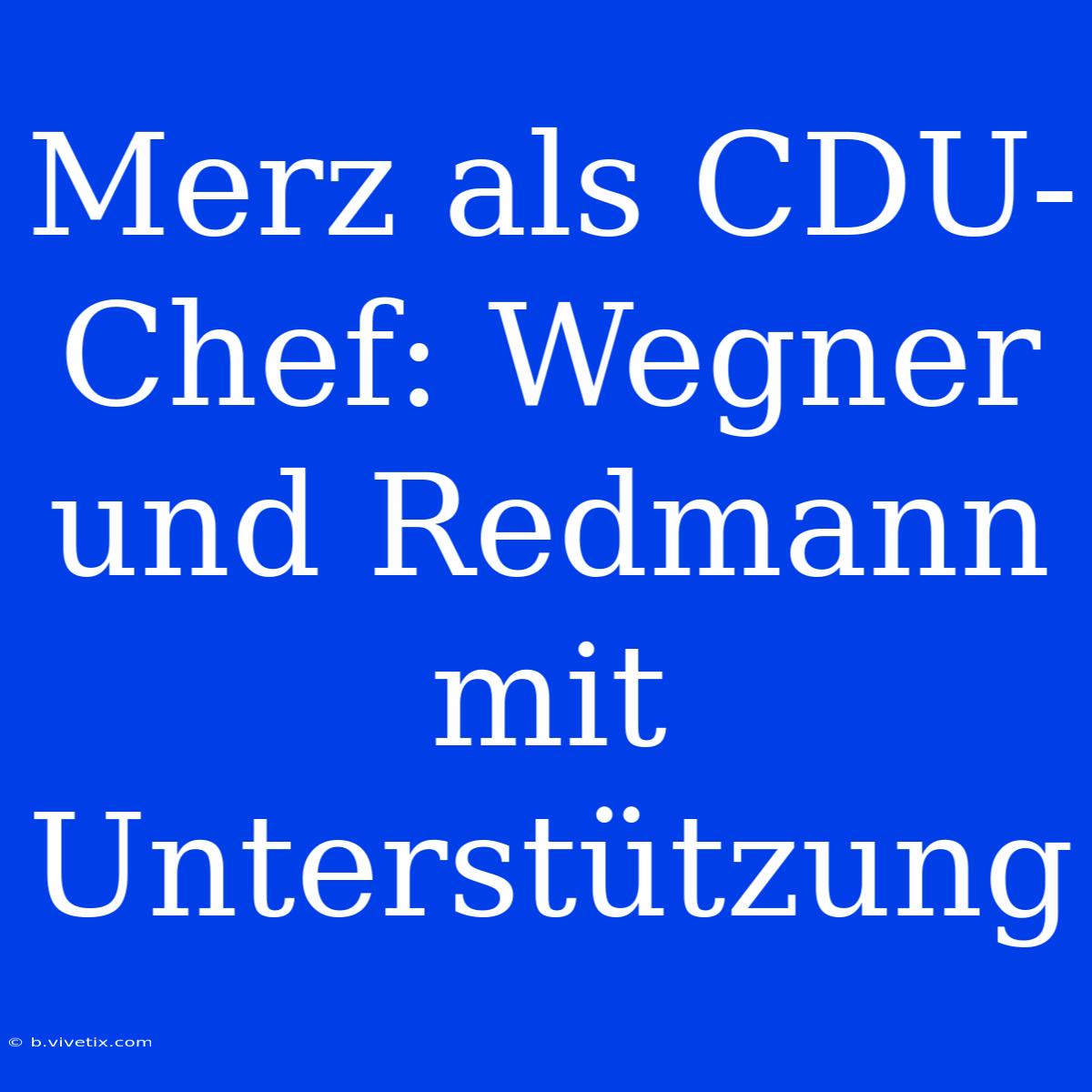 Merz Als CDU-Chef: Wegner Und Redmann Mit Unterstützung 