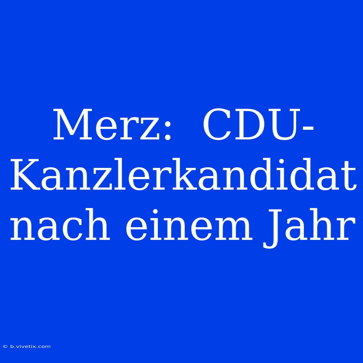 Merz:  CDU-Kanzlerkandidat Nach Einem Jahr