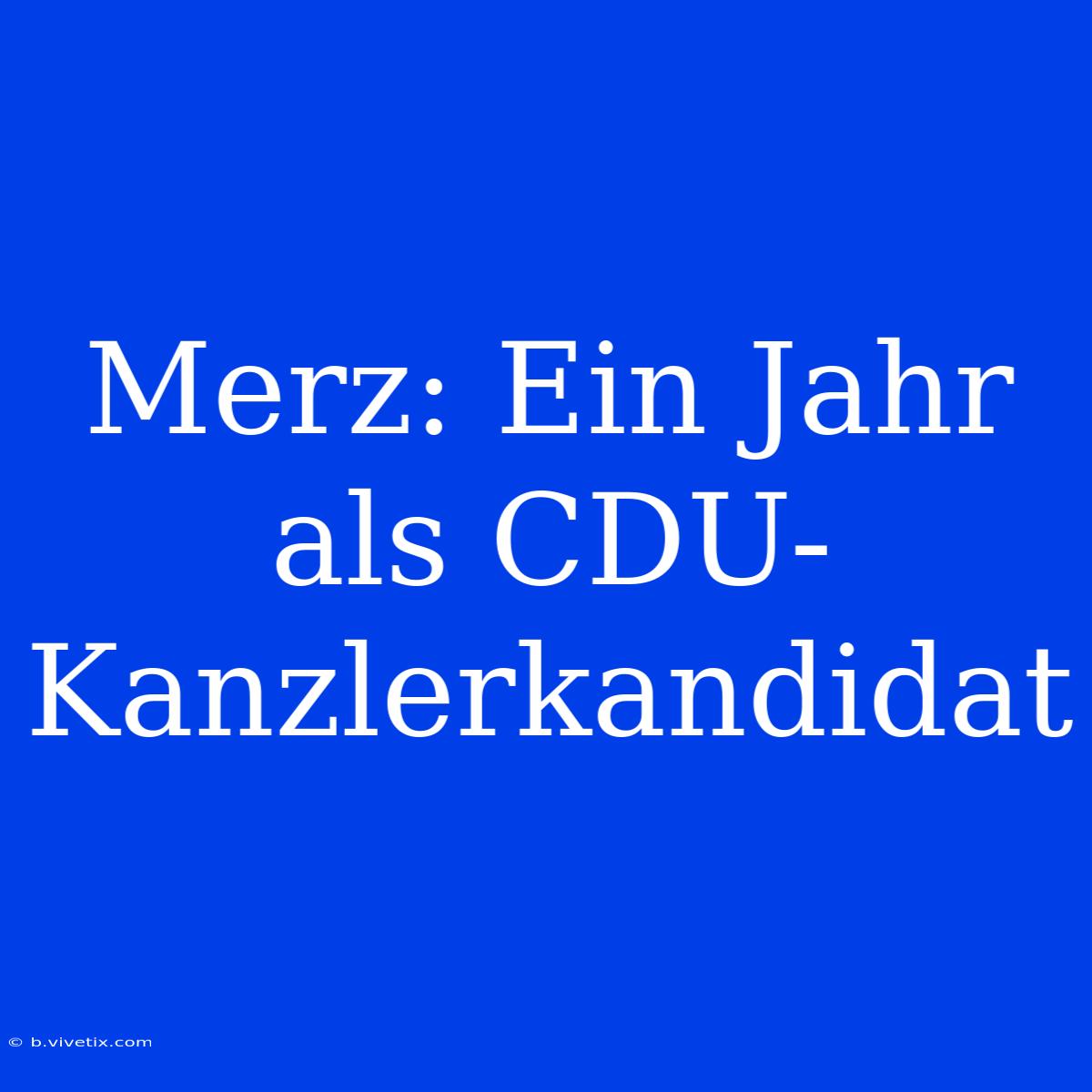 Merz: Ein Jahr Als CDU-Kanzlerkandidat