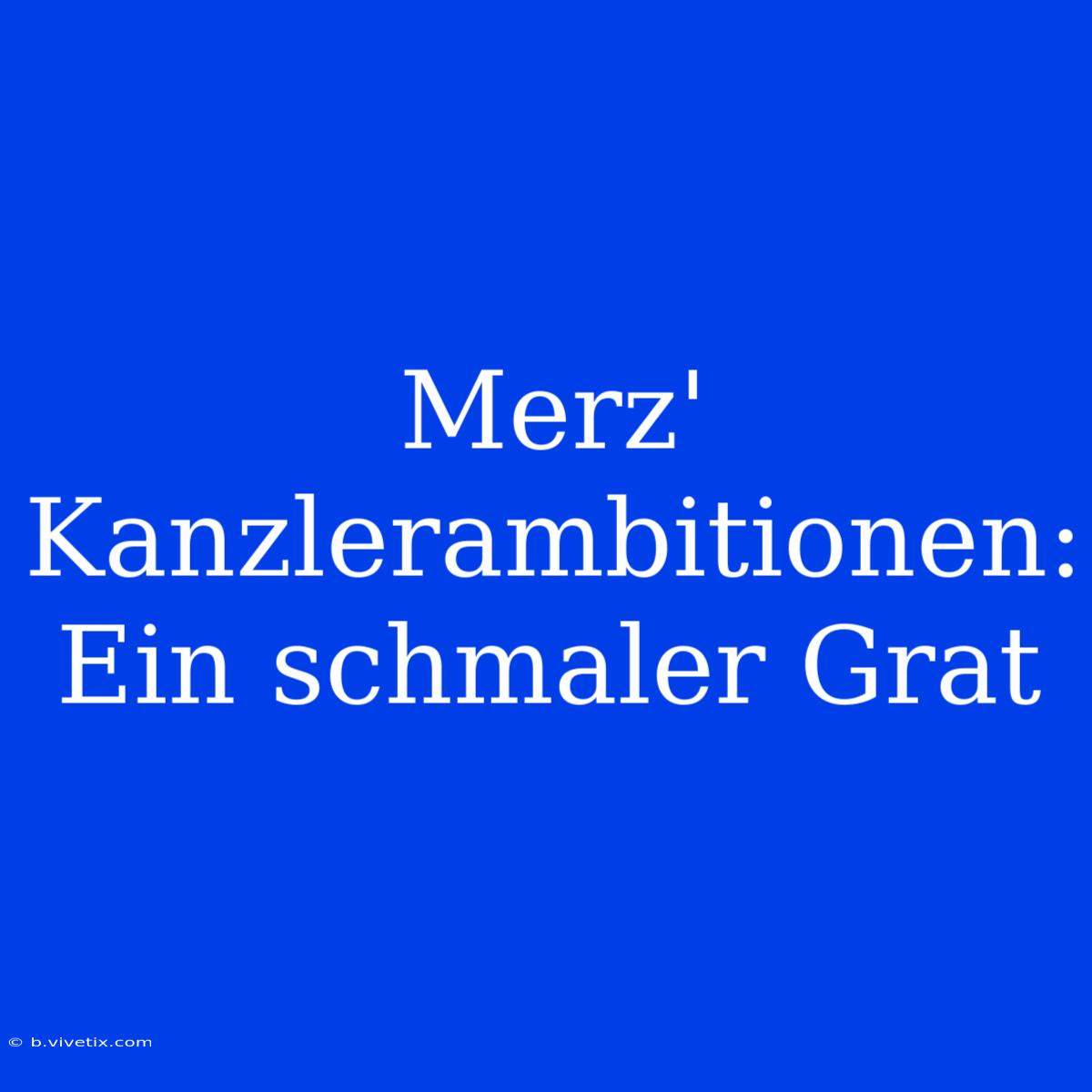 Merz' Kanzlerambitionen: Ein Schmaler Grat