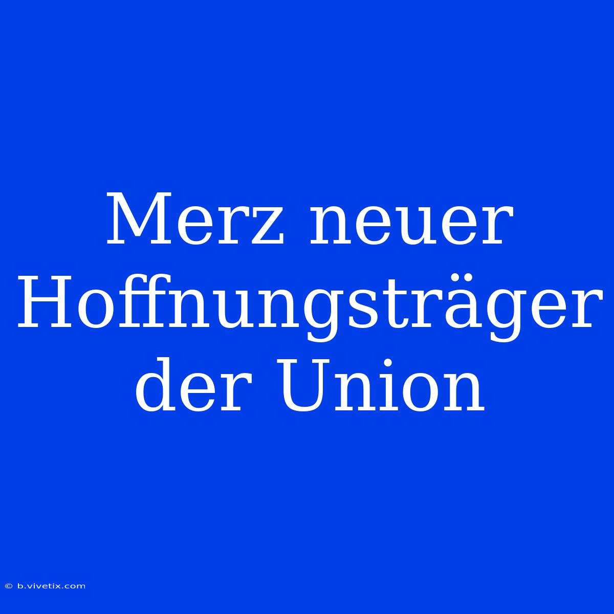 Merz Neuer Hoffnungsträger Der Union