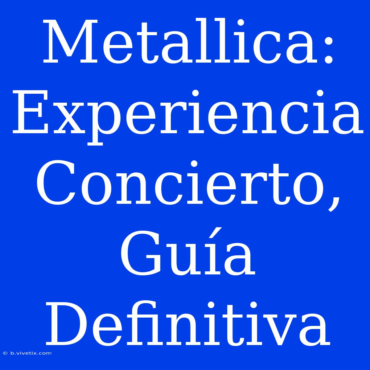 Metallica: Experiencia Concierto, Guía Definitiva