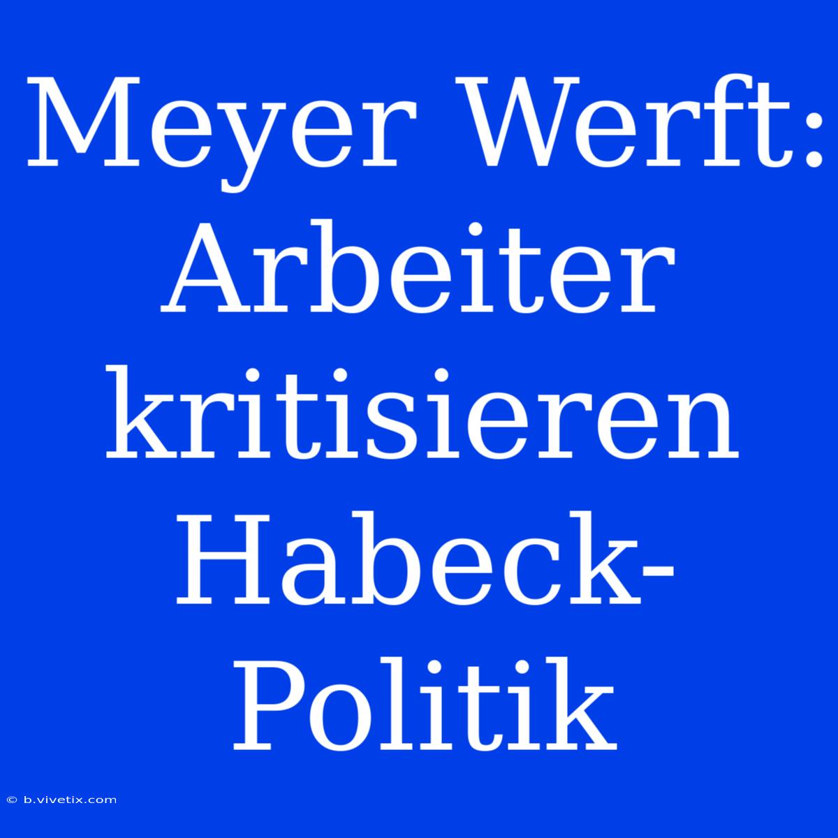 Meyer Werft: Arbeiter Kritisieren Habeck-Politik 