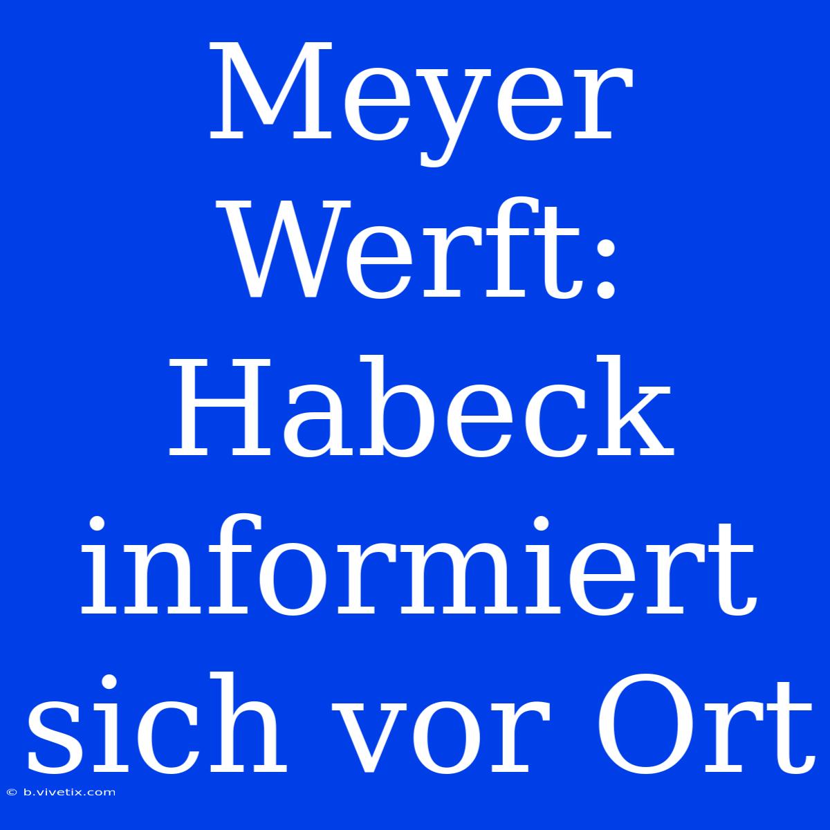 Meyer Werft: Habeck Informiert Sich Vor Ort