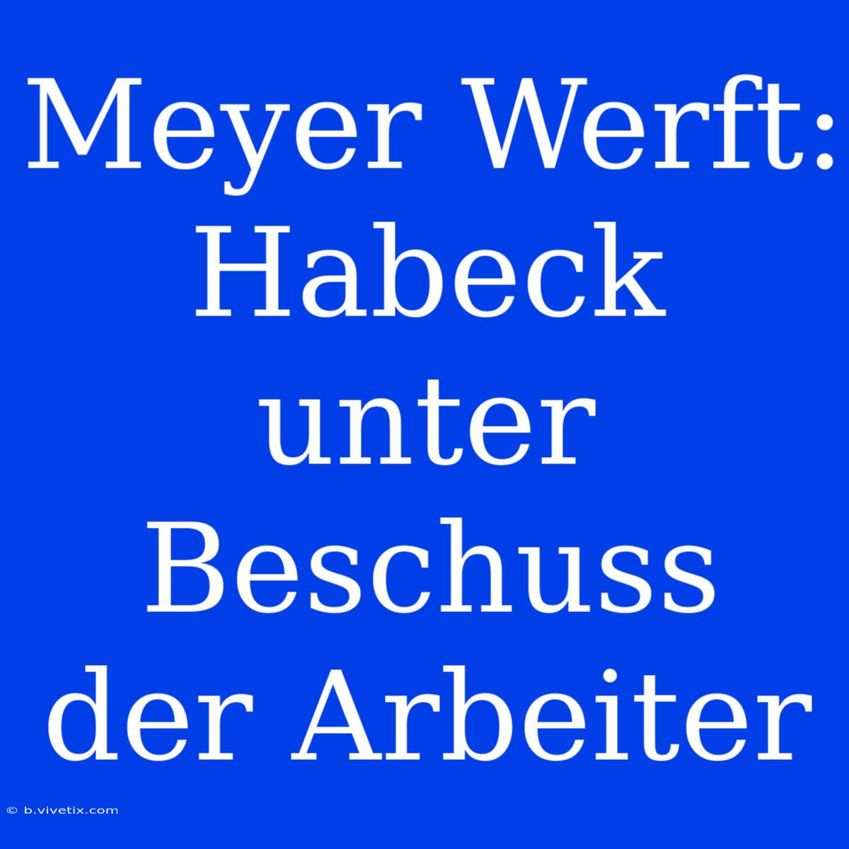 Meyer Werft: Habeck Unter Beschuss Der Arbeiter