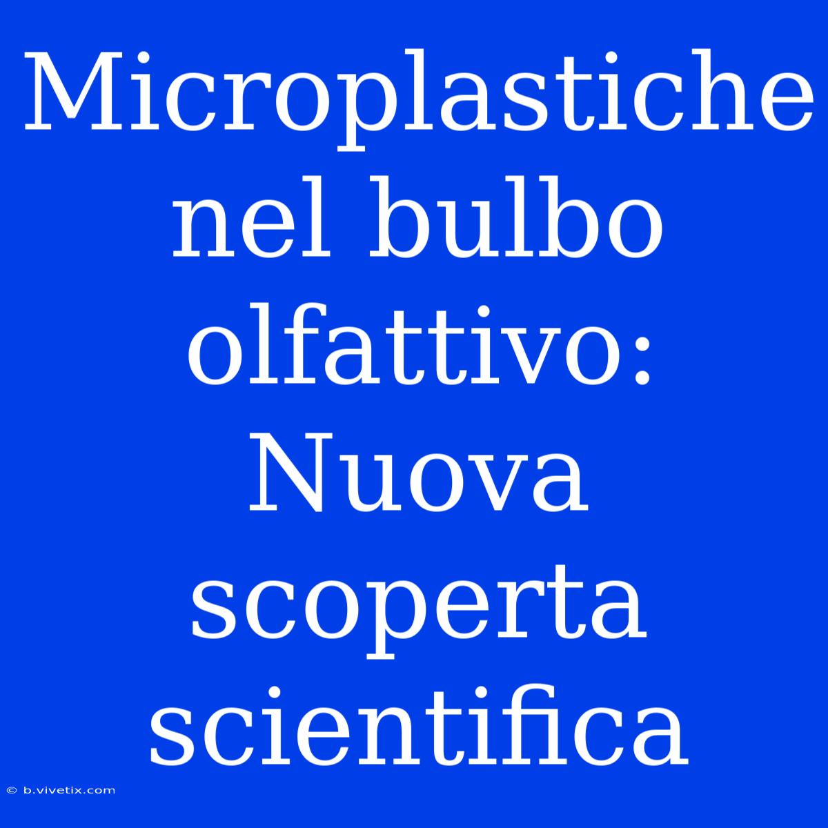 Microplastiche Nel Bulbo Olfattivo: Nuova Scoperta Scientifica