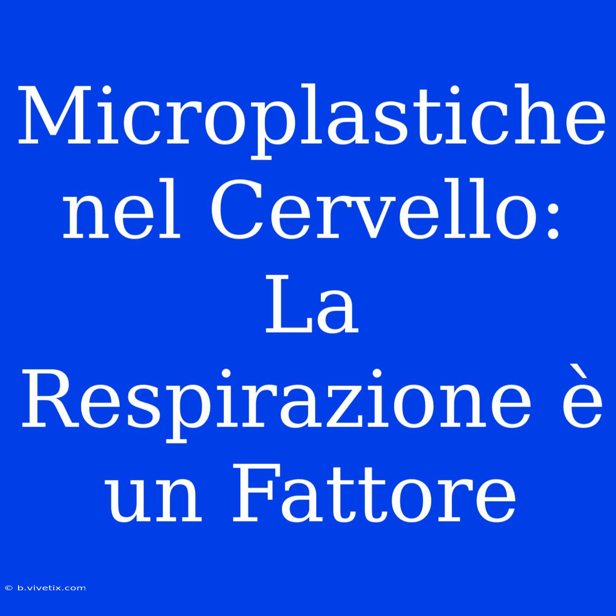 Microplastiche Nel Cervello: La Respirazione È Un Fattore