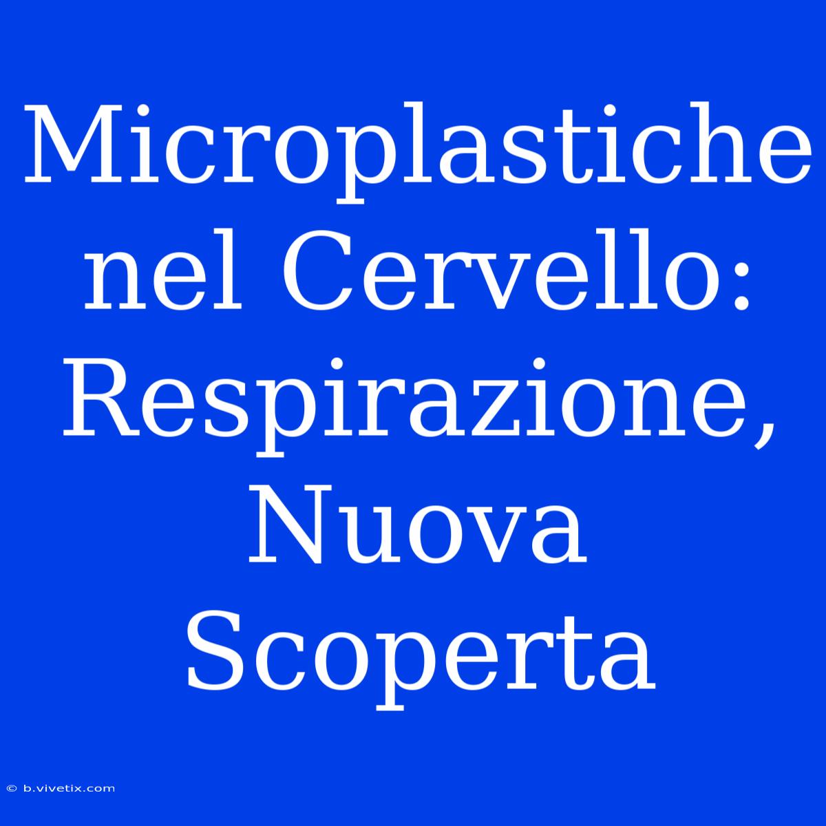 Microplastiche Nel Cervello: Respirazione, Nuova Scoperta