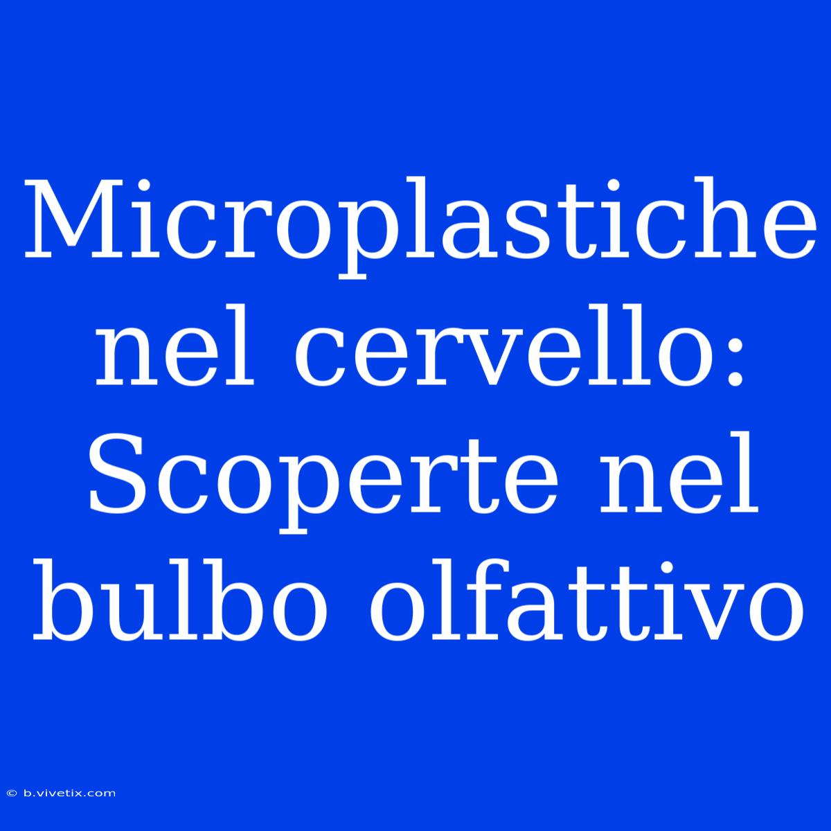 Microplastiche Nel Cervello: Scoperte Nel Bulbo Olfattivo