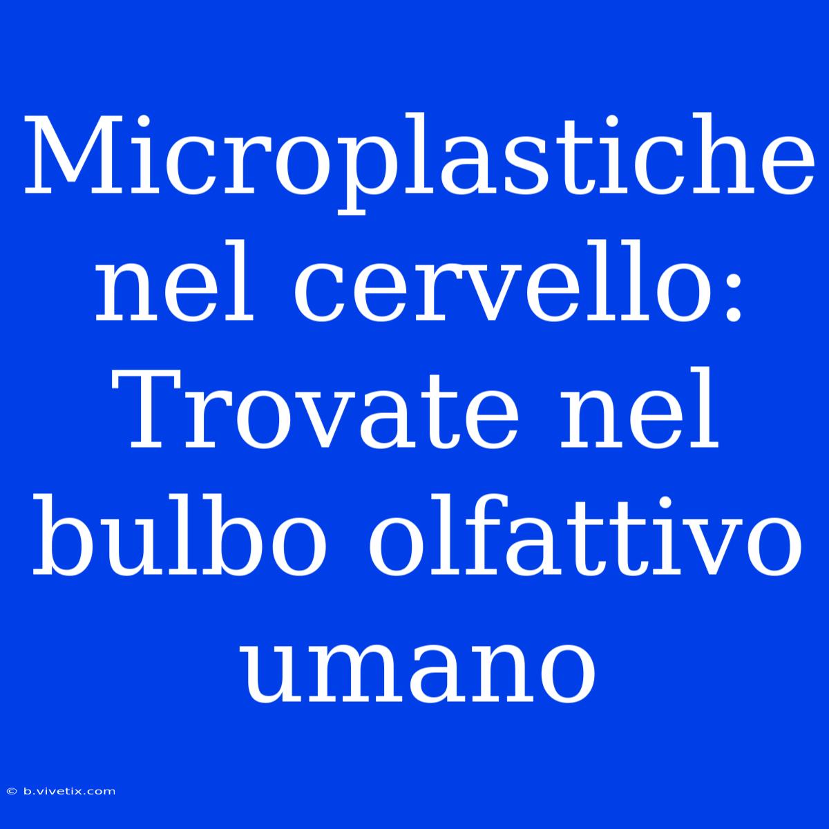 Microplastiche Nel Cervello: Trovate Nel Bulbo Olfattivo Umano