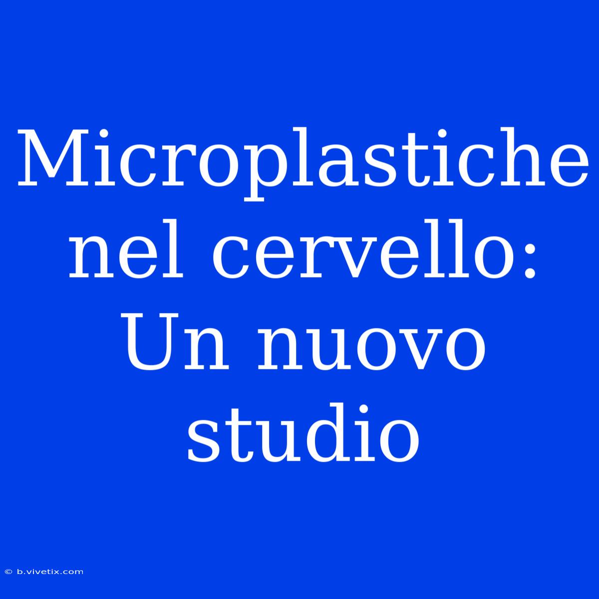 Microplastiche Nel Cervello: Un Nuovo Studio