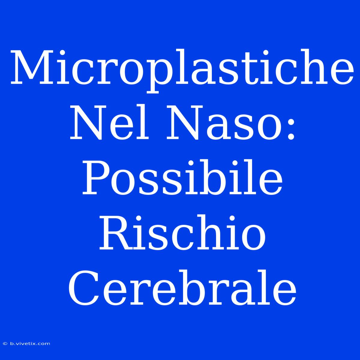 Microplastiche Nel Naso: Possibile Rischio Cerebrale