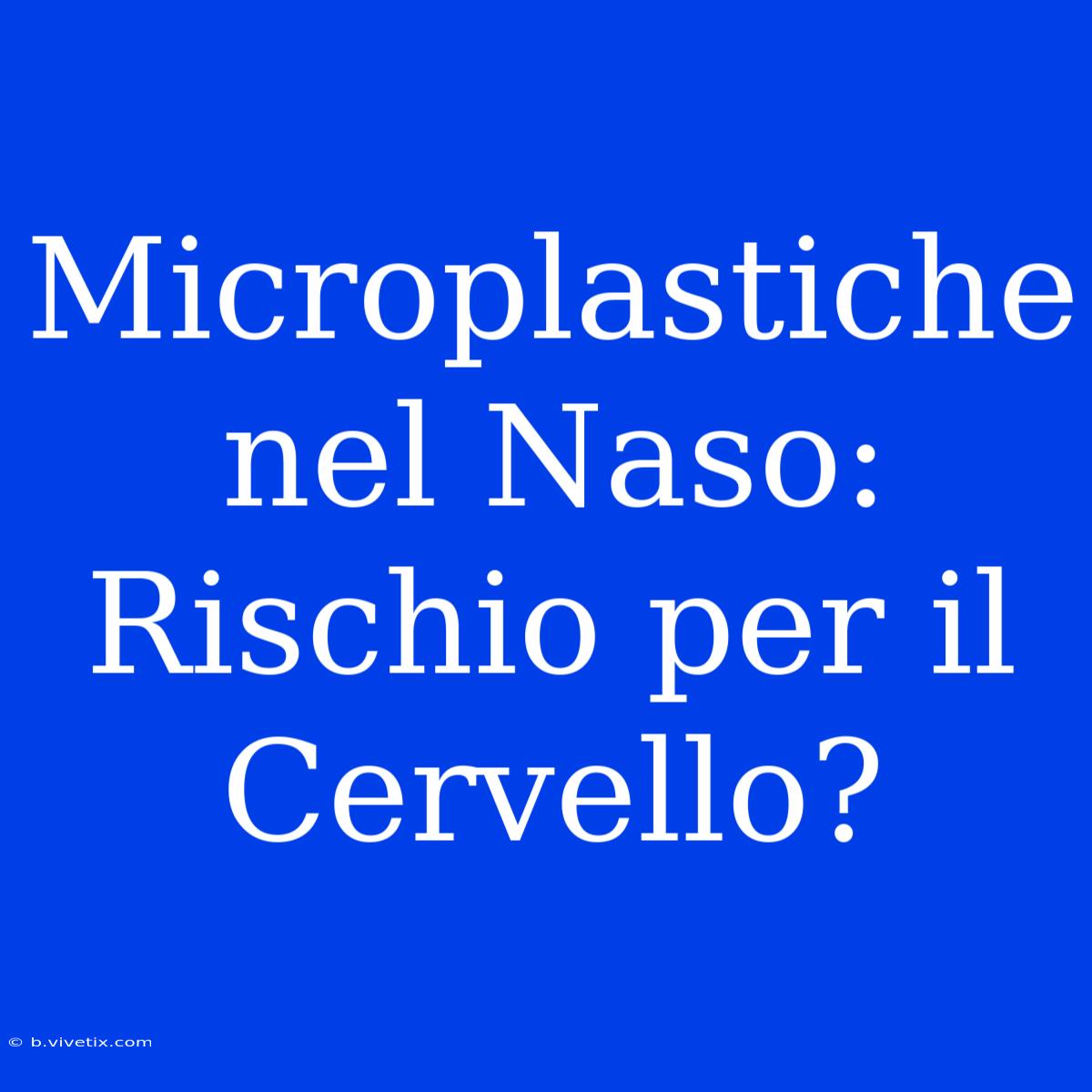 Microplastiche Nel Naso: Rischio Per Il Cervello?