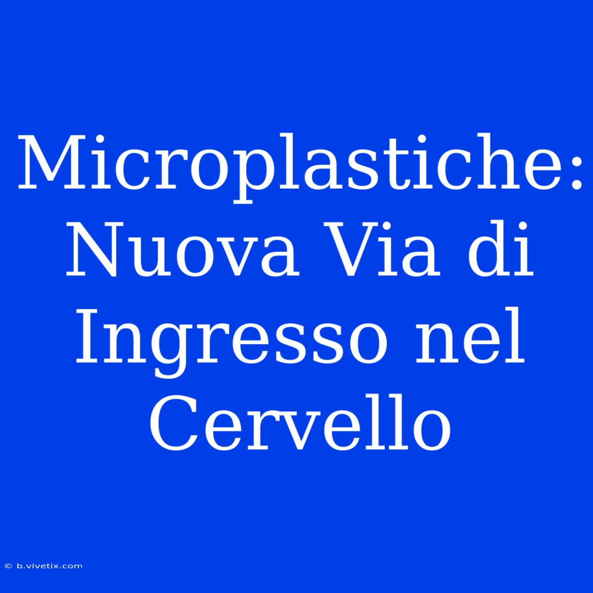 Microplastiche: Nuova Via Di Ingresso Nel Cervello