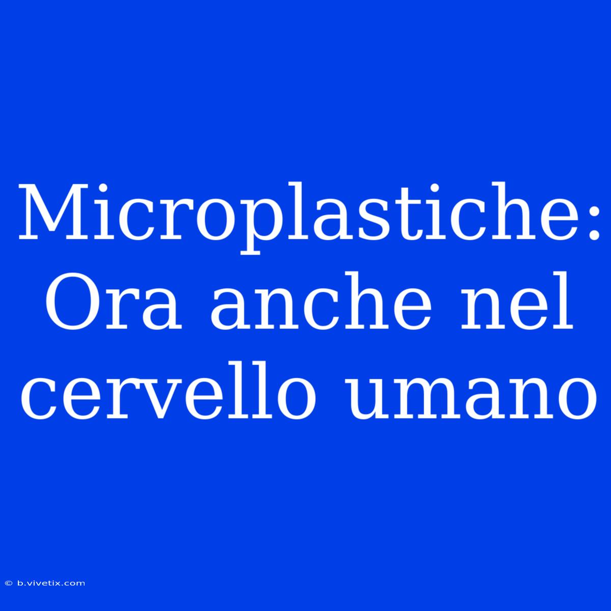 Microplastiche: Ora Anche Nel Cervello Umano