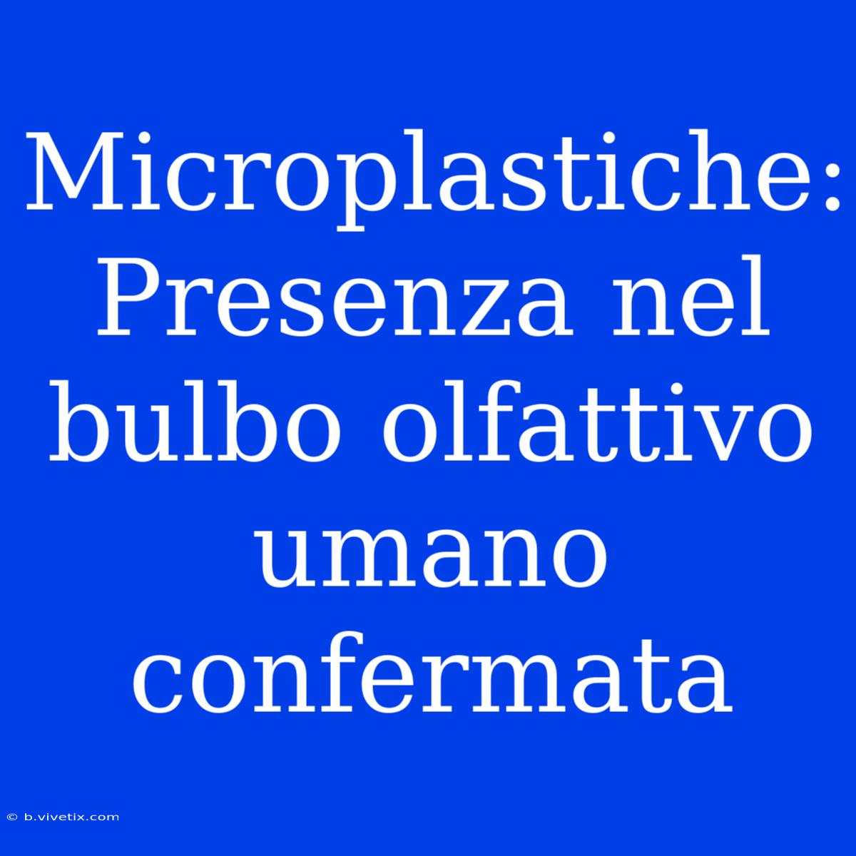 Microplastiche: Presenza Nel Bulbo Olfattivo Umano Confermata