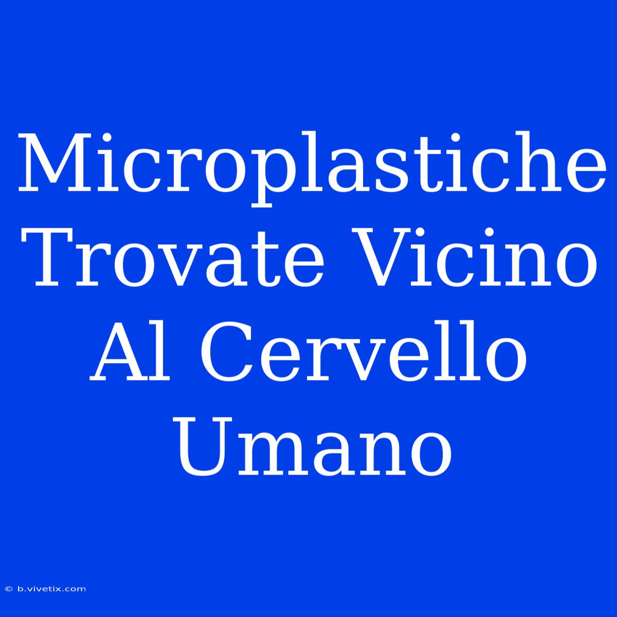 Microplastiche Trovate Vicino Al Cervello Umano