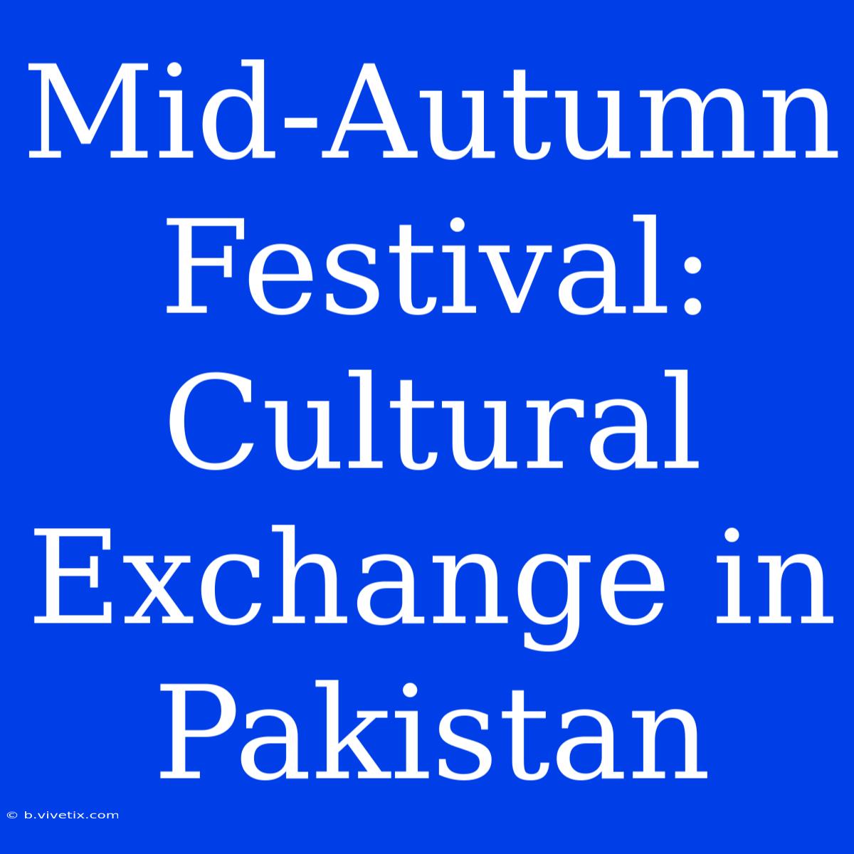 Mid-Autumn Festival: Cultural Exchange In Pakistan