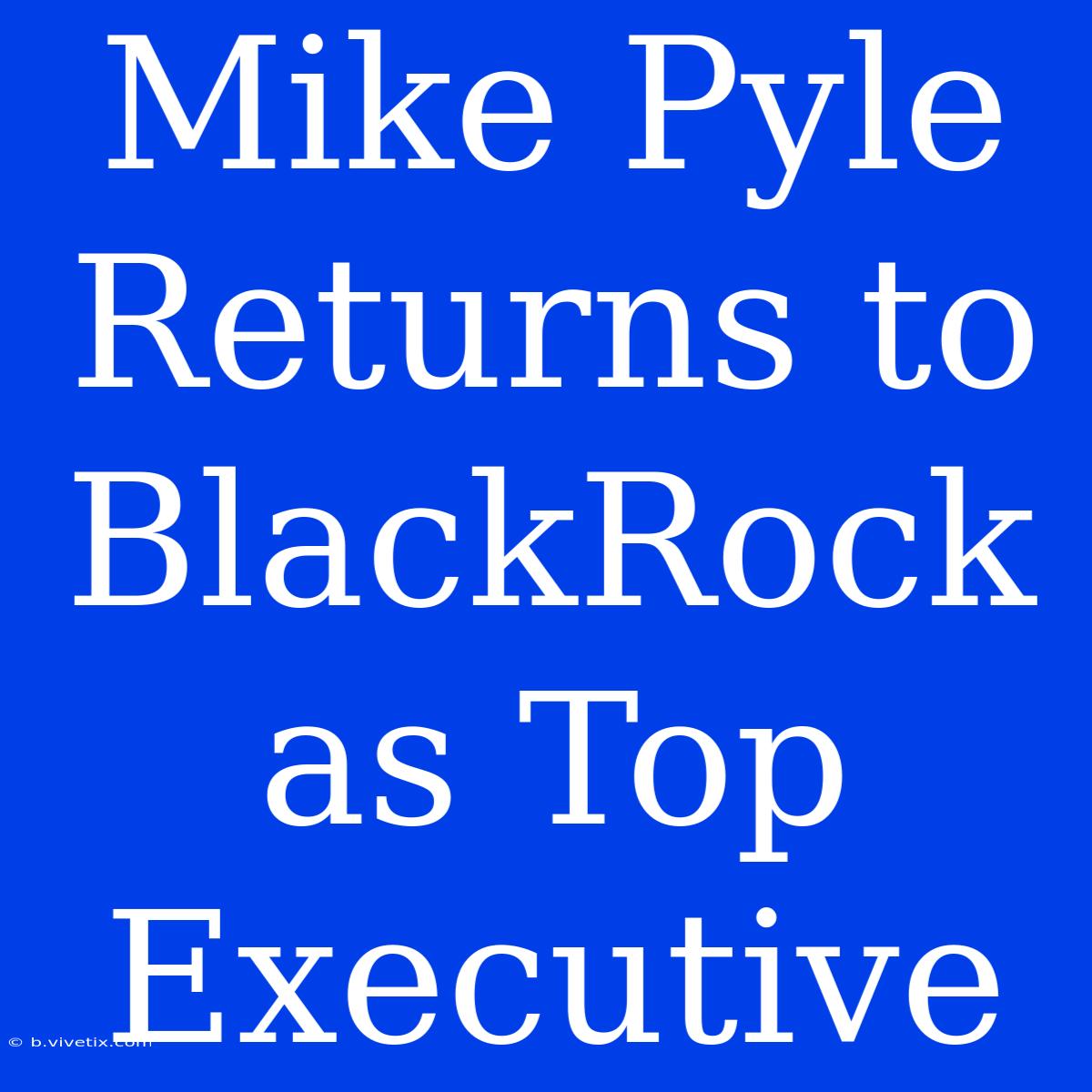 Mike Pyle Returns To BlackRock As Top Executive