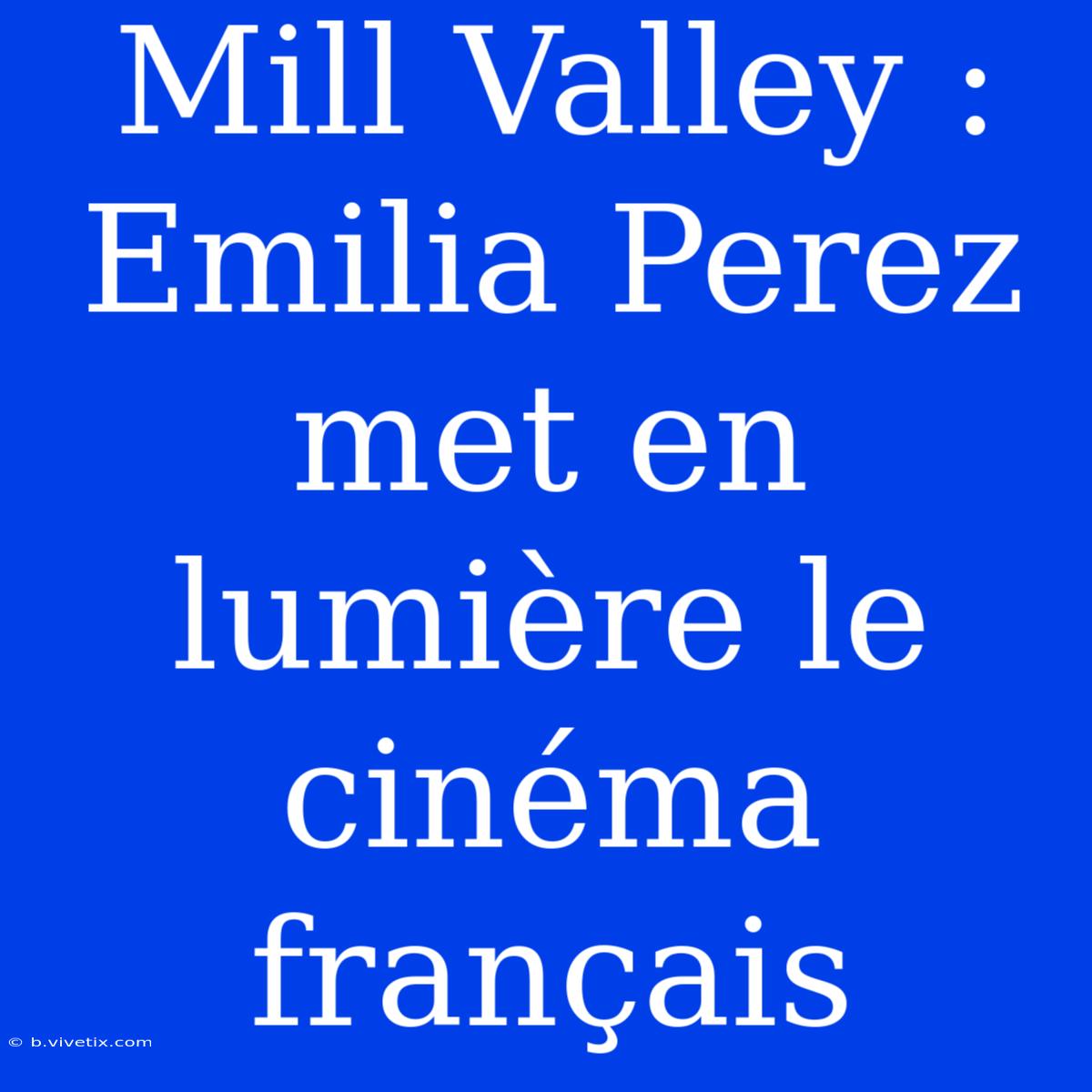 Mill Valley : Emilia Perez Met En Lumière Le Cinéma Français