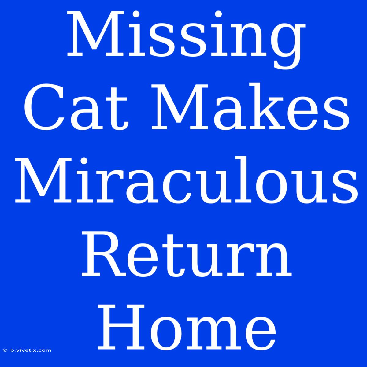 Missing Cat Makes Miraculous Return Home