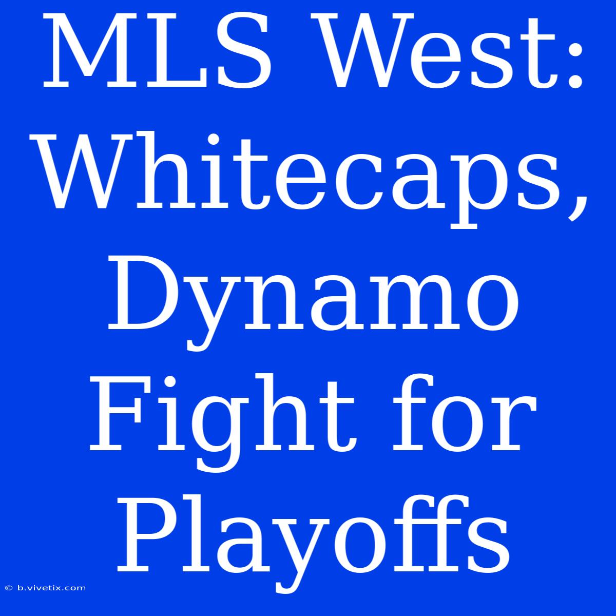 MLS West: Whitecaps, Dynamo Fight For Playoffs