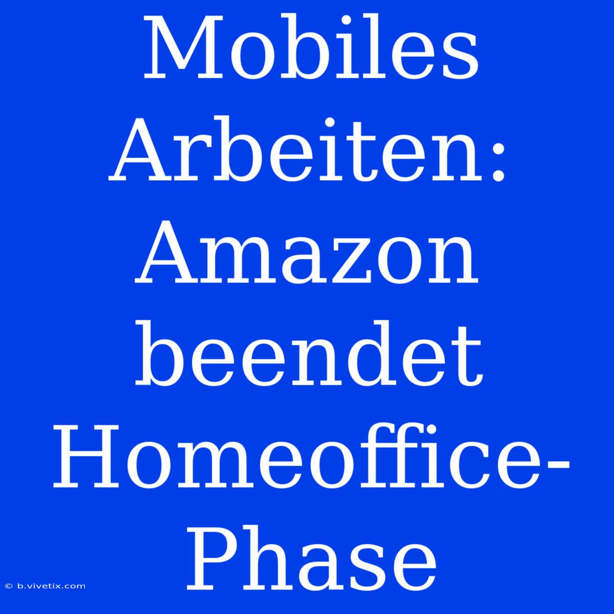 Mobiles Arbeiten: Amazon Beendet Homeoffice-Phase