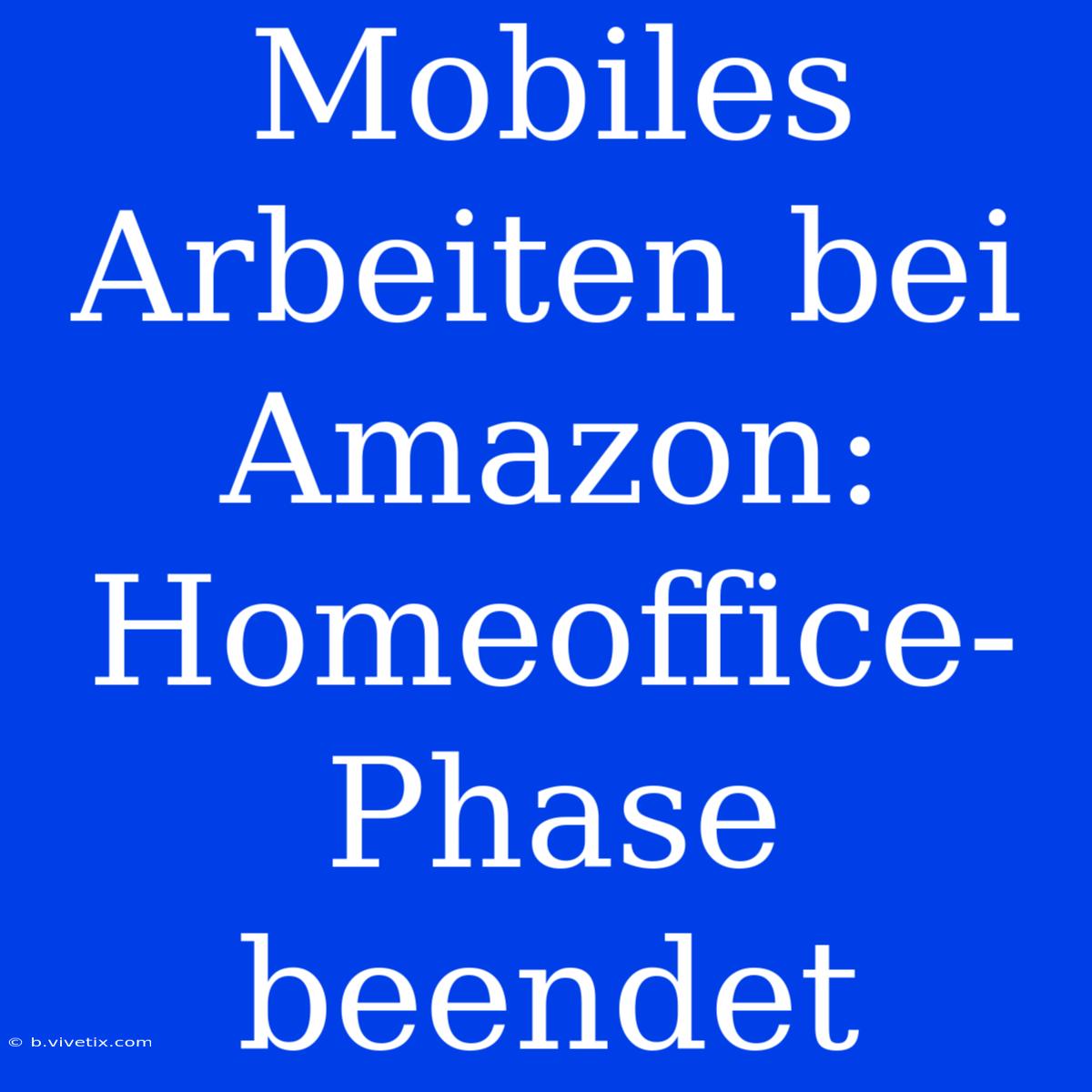 Mobiles Arbeiten Bei Amazon: Homeoffice-Phase Beendet