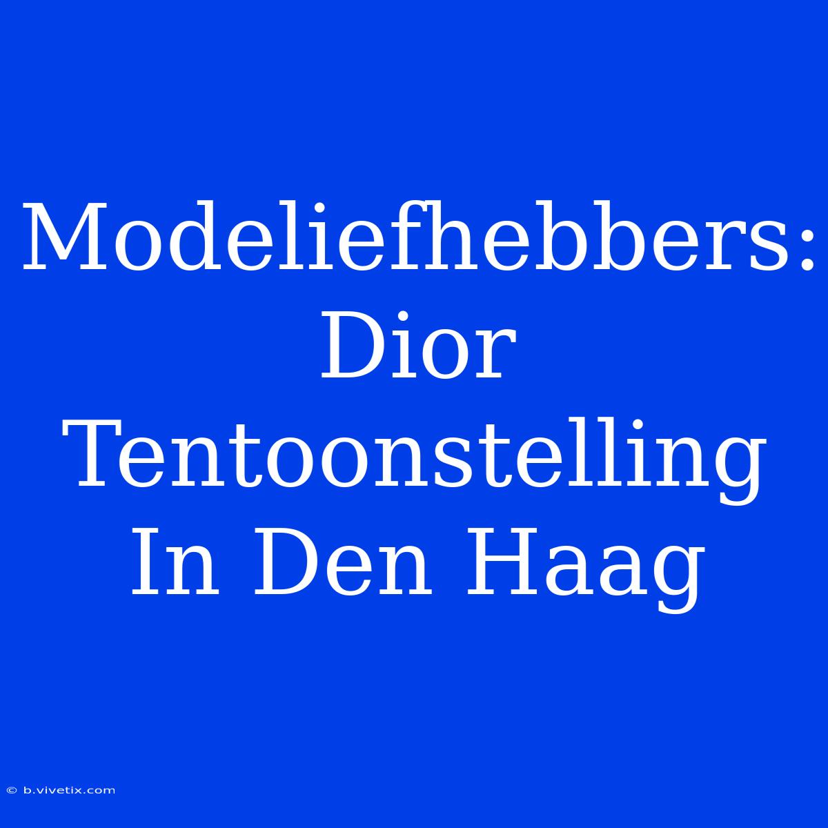 Modeliefhebbers: Dior Tentoonstelling In Den Haag