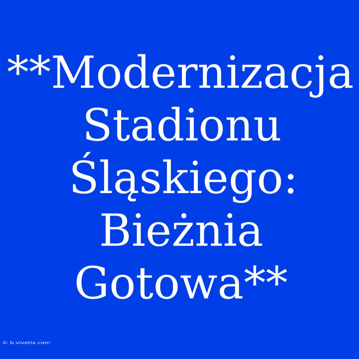 **Modernizacja Stadionu Śląskiego: Bieżnia Gotowa**