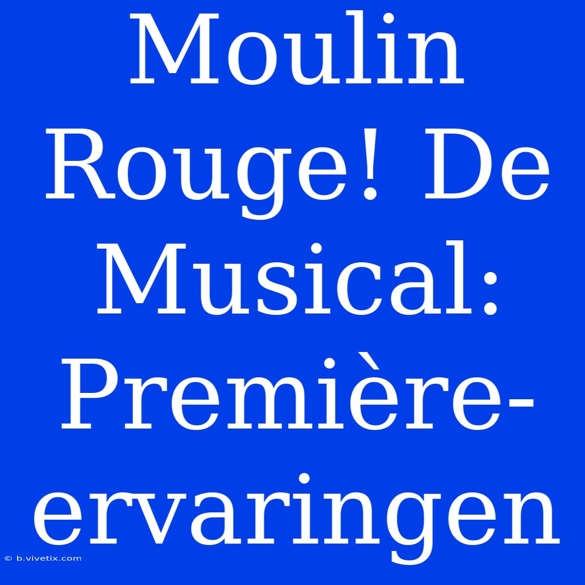 Moulin Rouge! De Musical: Première-ervaringen