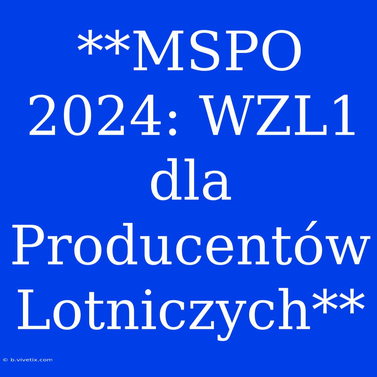 **MSPO 2024: WZL1 Dla Producentów Lotniczych**