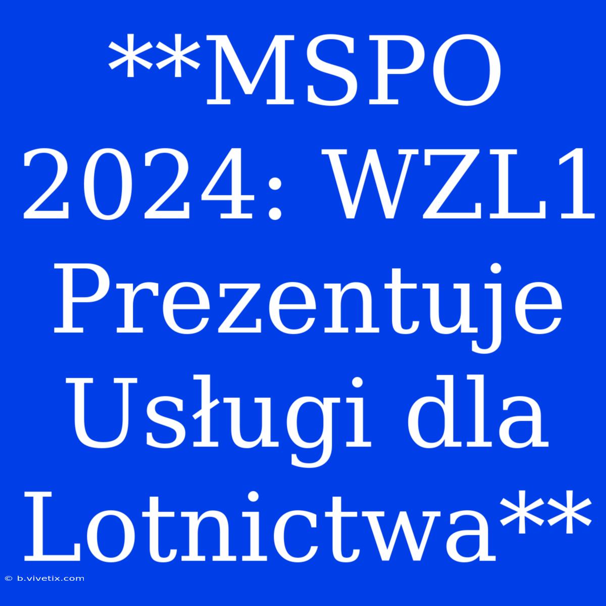 **MSPO 2024: WZL1 Prezentuje Usługi Dla Lotnictwa**