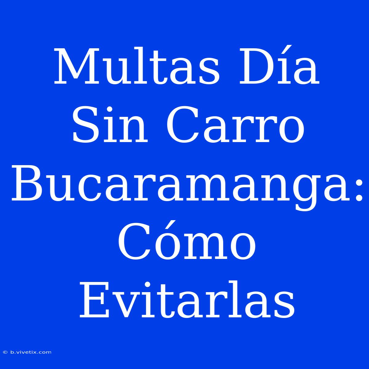 Multas Día Sin Carro Bucaramanga: Cómo Evitarlas