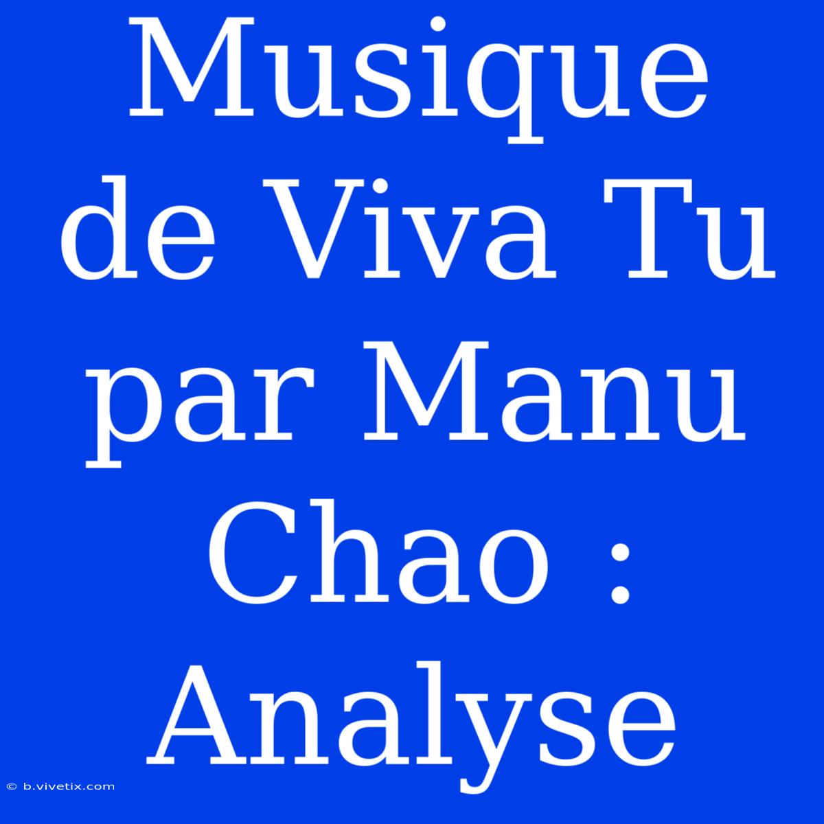 Musique De Viva Tu Par Manu Chao : Analyse