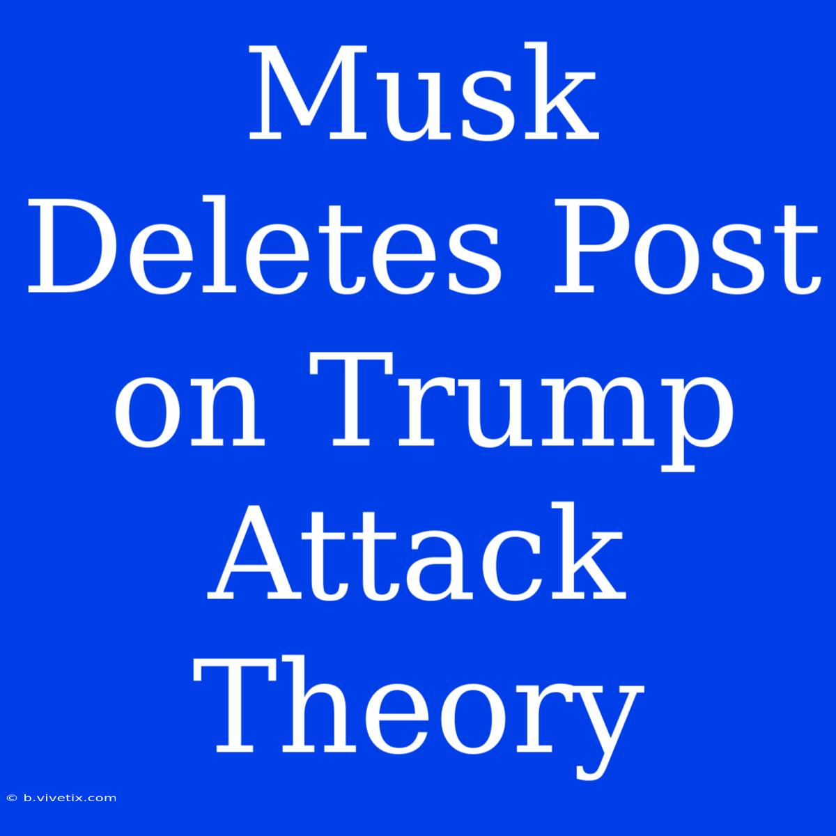 Musk Deletes Post On Trump Attack Theory