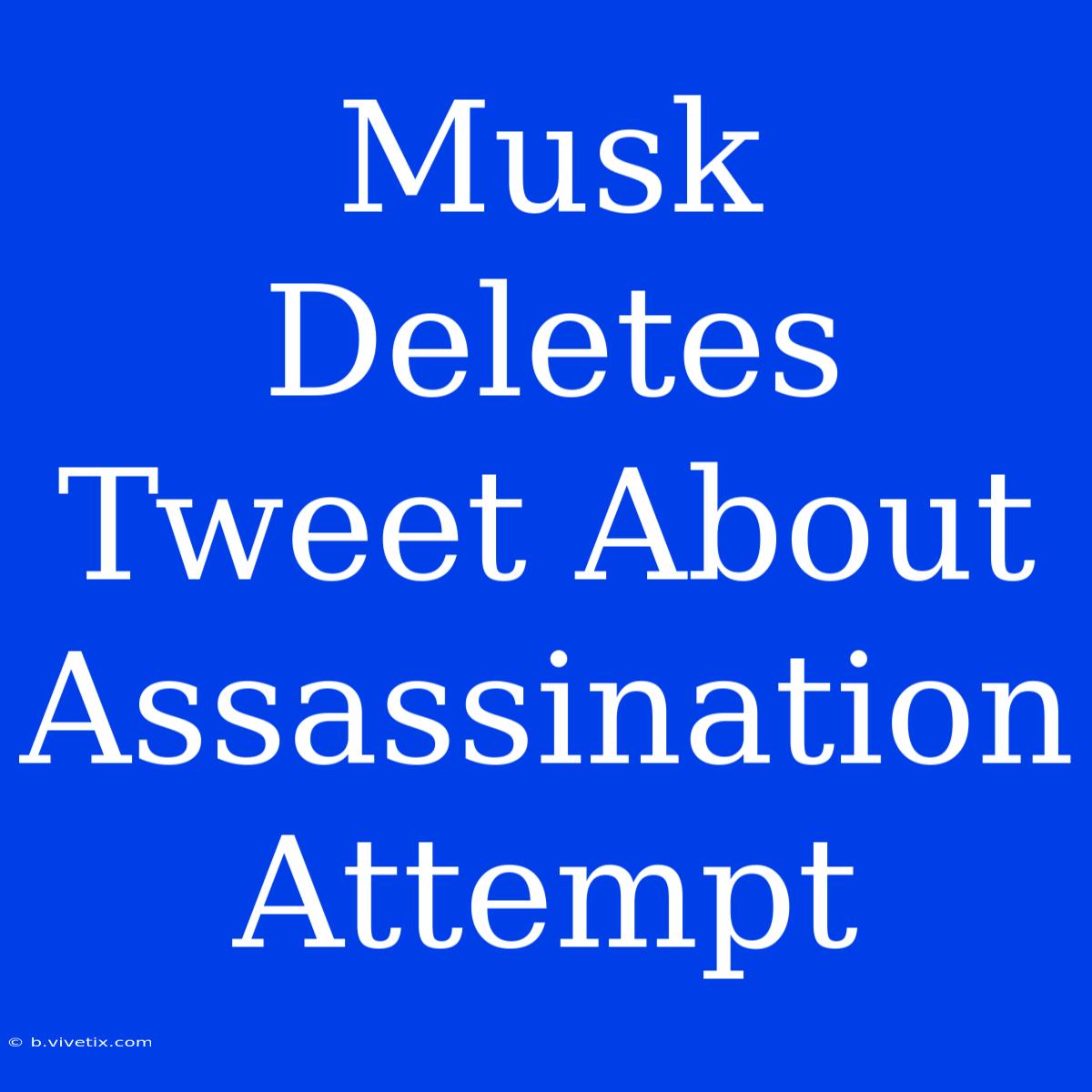 Musk Deletes Tweet About Assassination Attempt