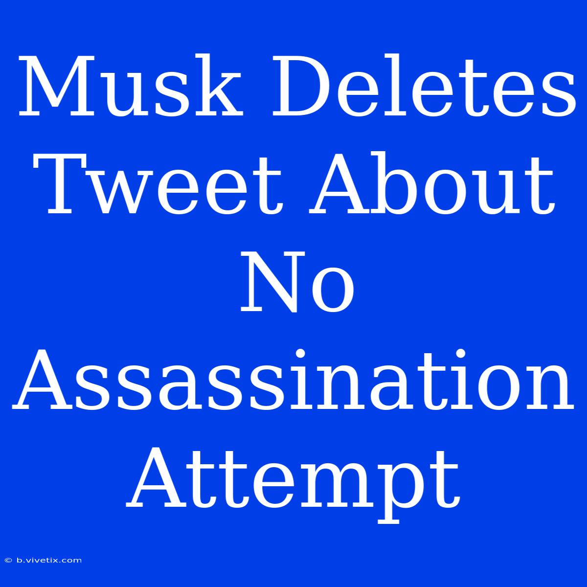 Musk Deletes Tweet About No Assassination Attempt