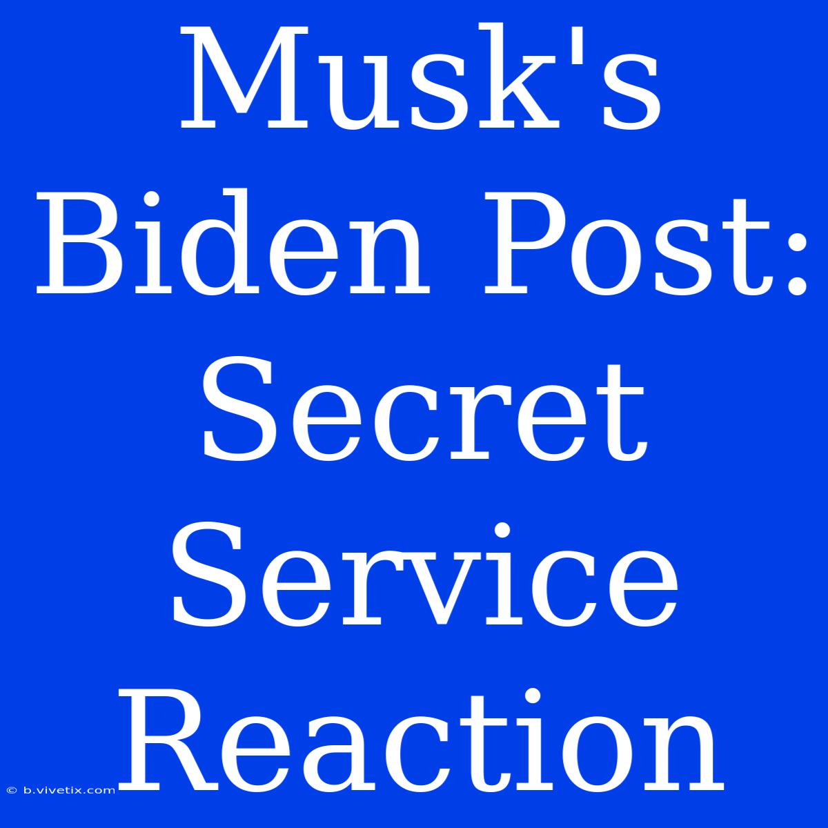 Musk's Biden Post: Secret Service Reaction