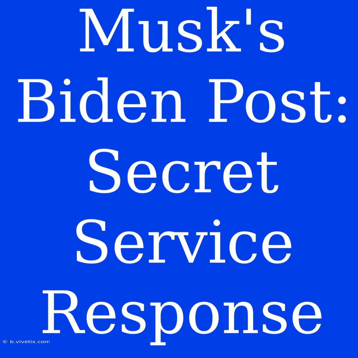 Musk's Biden Post: Secret Service Response