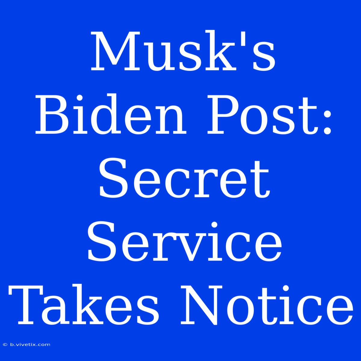 Musk's Biden Post: Secret Service Takes Notice