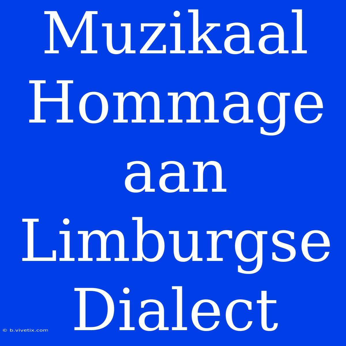 Muzikaal Hommage Aan Limburgse Dialect