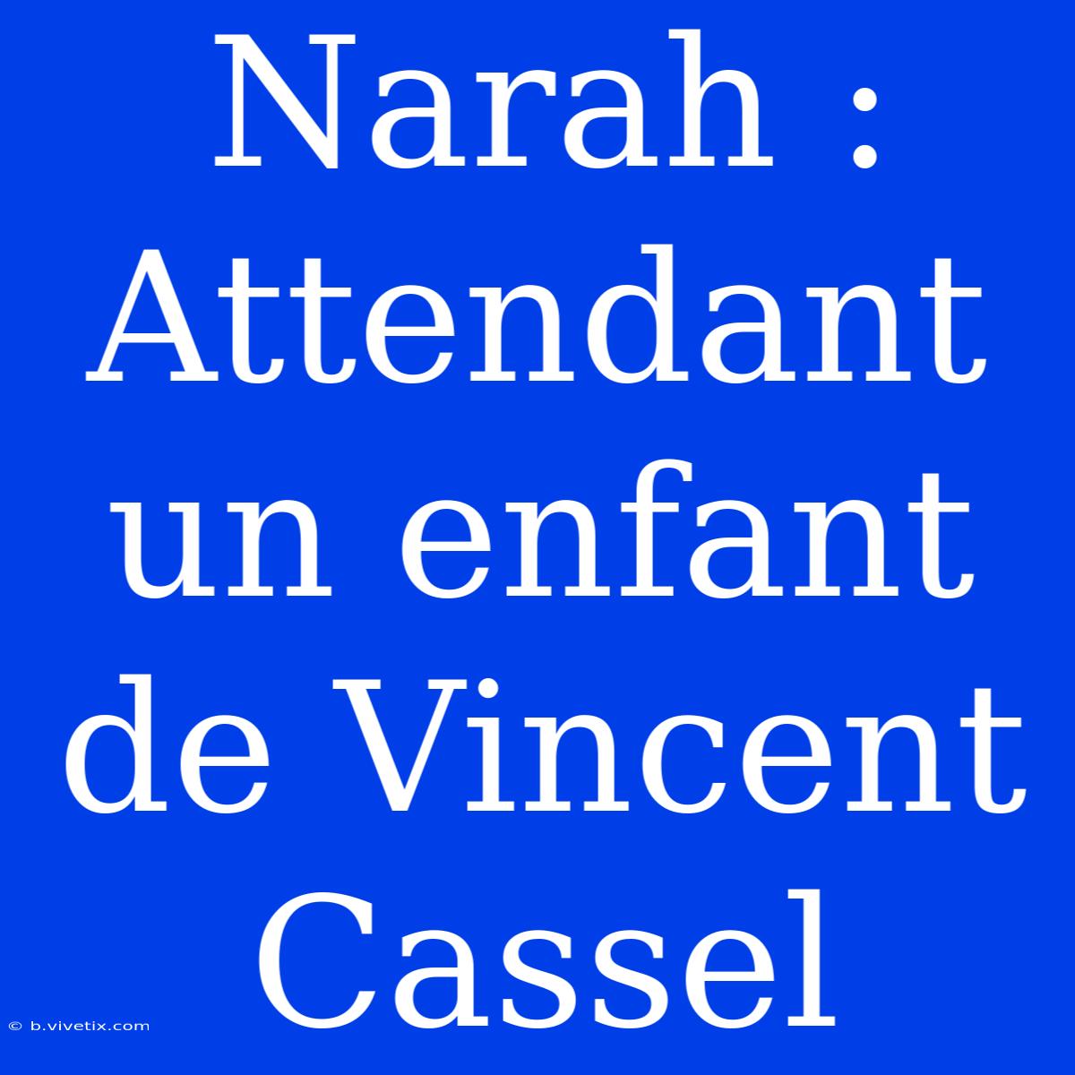 Narah : Attendant Un Enfant De Vincent Cassel