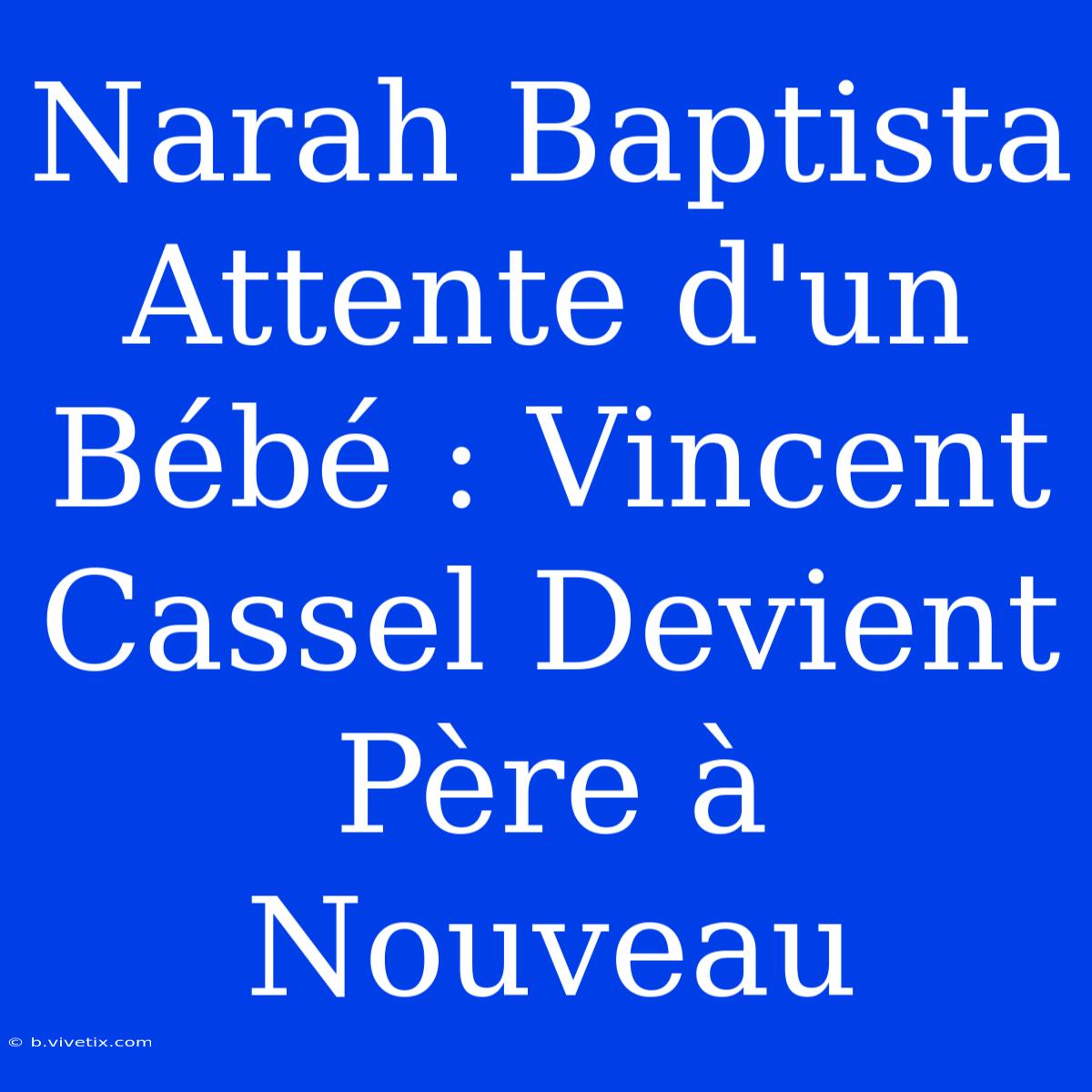 Narah Baptista Attente D'un Bébé : Vincent Cassel Devient Père À Nouveau