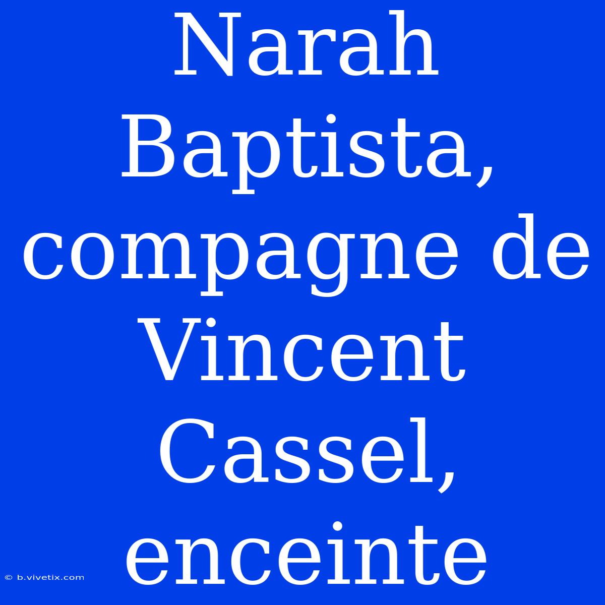 Narah Baptista, Compagne De Vincent Cassel, Enceinte