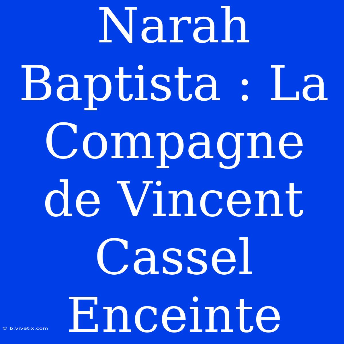 Narah Baptista : La Compagne De Vincent Cassel Enceinte 