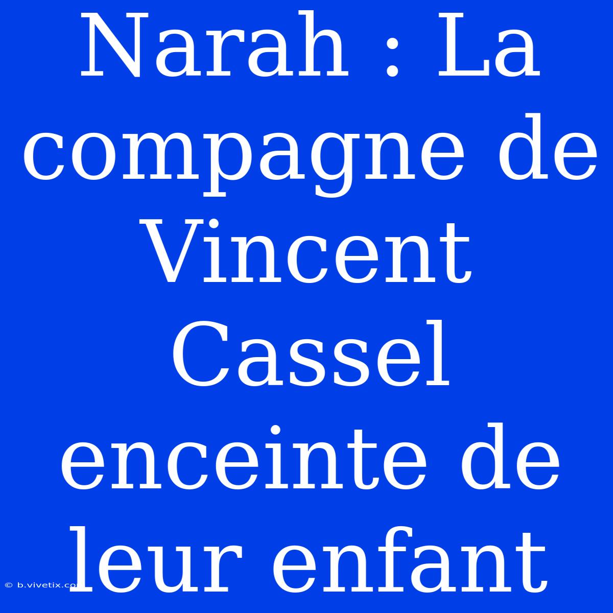 Narah : La Compagne De Vincent Cassel Enceinte De Leur Enfant