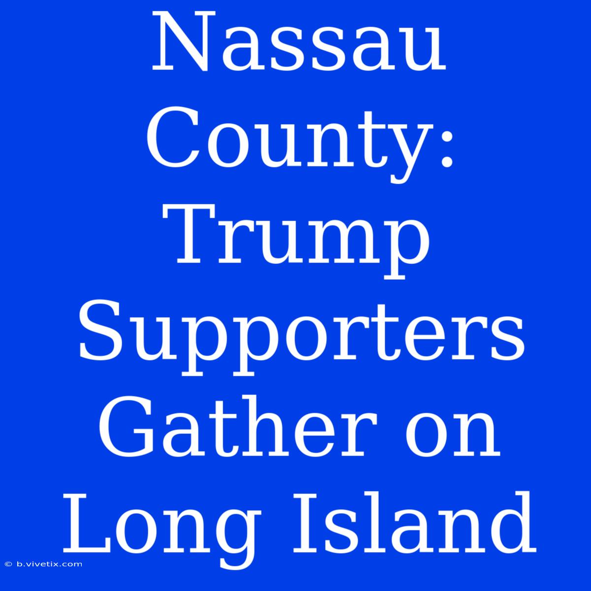 Nassau County: Trump Supporters Gather On Long Island