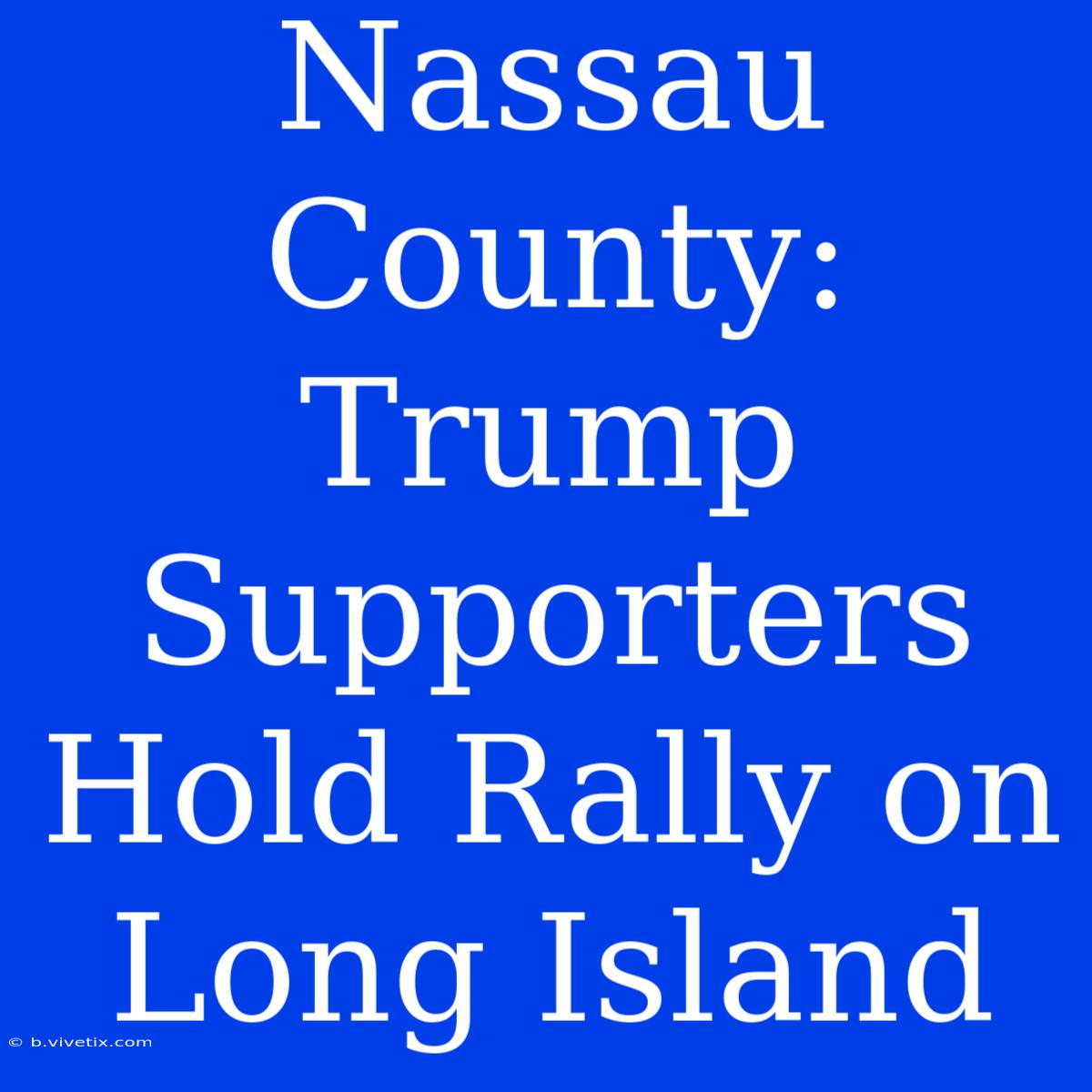 Nassau County: Trump Supporters Hold Rally On Long Island 