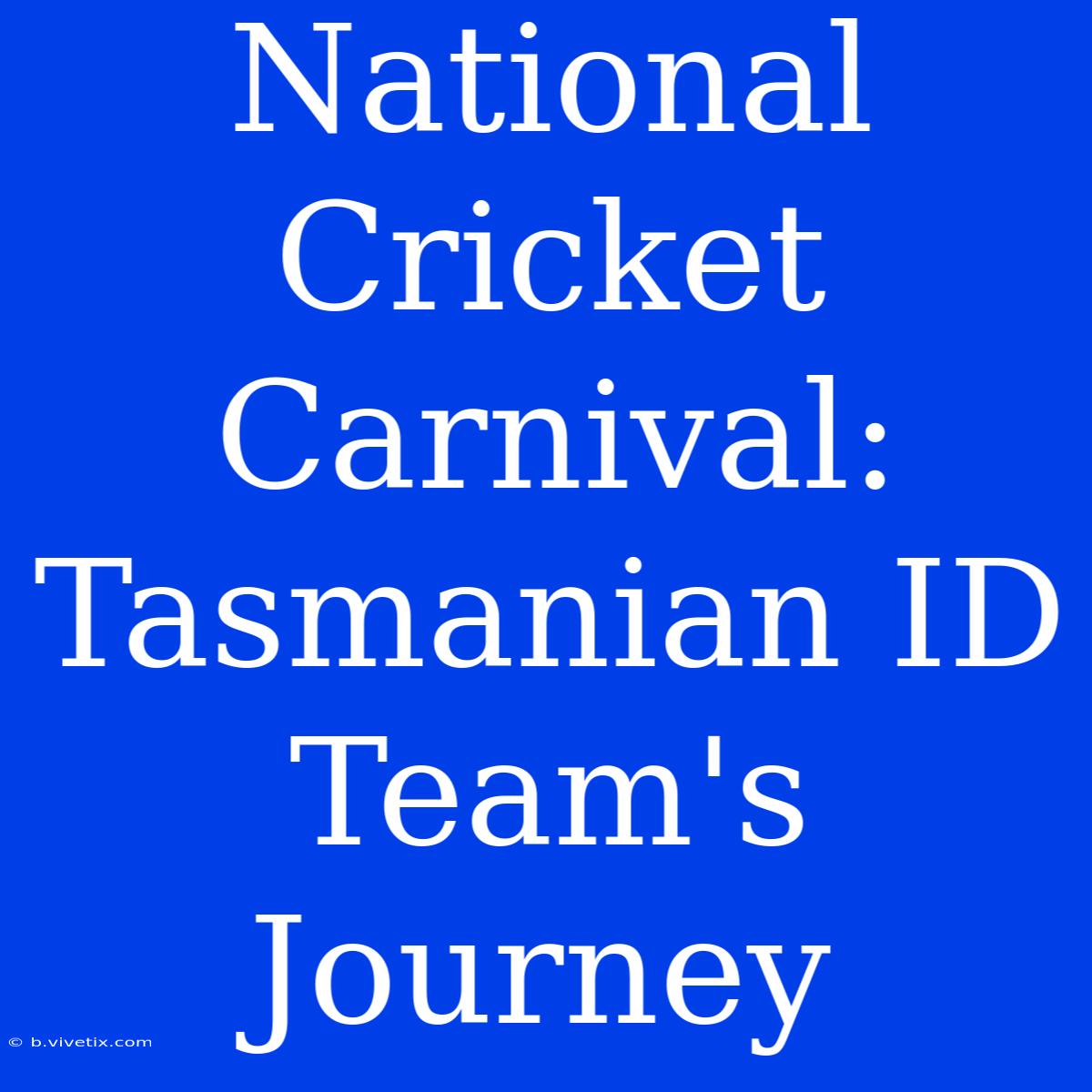 National Cricket Carnival: Tasmanian ID Team's Journey